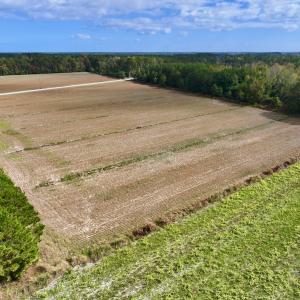 Photo #5 of Off NC 55 Hwy, Merritt, NC 13.7 acres
