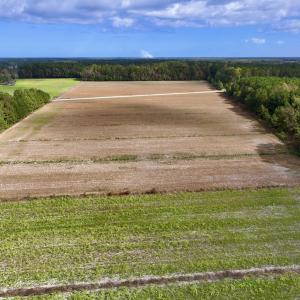 Photo #6 of Off NC 55 Hwy, Merritt, NC 13.7 acres