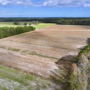 Photo #7 of Off NC 55 Hwy, Merritt, NC 13.7 acres