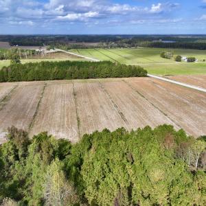 Photo #8 of Off NC 55 Hwy, Merritt, NC 13.7 acres