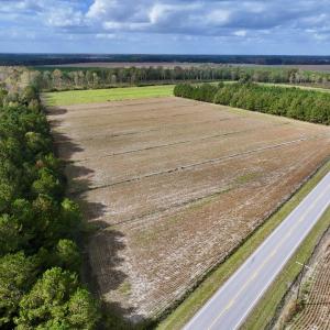 Photo #9 of Off NC 55 Hwy, Merritt, NC 13.7 acres