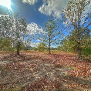 Photo #27 of SOLD property in 137 Legacy Pt, Wallace, NC 0.3 acres