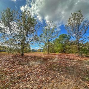 Photo #28 of SOLD property in 137 Legacy Pt, Wallace, NC 0.3 acres