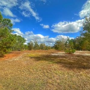 Photo #31 of SOLD property in 137 Legacy Pt, Wallace, NC 0.3 acres