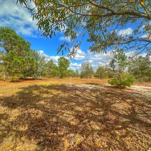 Photo #33 of SOLD property in 137 Legacy Pt, Wallace, NC 0.3 acres