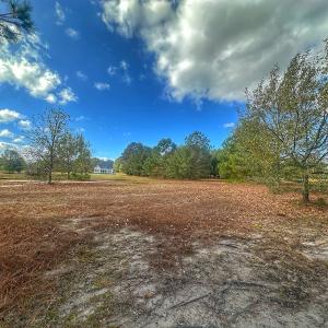 Photo #34 of SOLD property in 137 Legacy Pt, Wallace, NC 0.3 acres