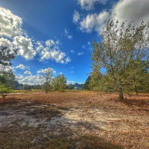 Photo #35 of SOLD property in 137 Legacy Pt, Wallace, NC 0.3 acres