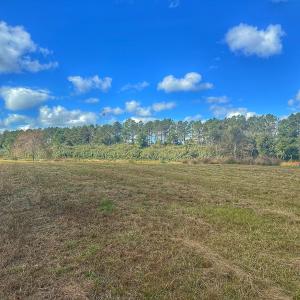 Photo #25 of 124 W Winding Way, Wallace, NC 0.5 acres