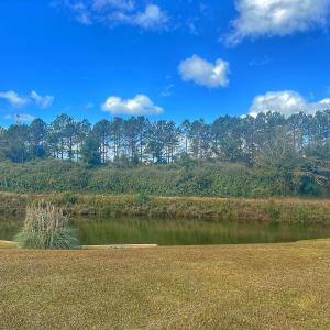 Photo #26 of 124 W Winding Way, Wallace, NC 0.5 acres
