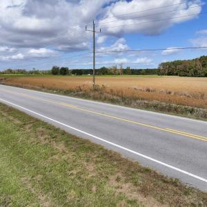 Photo #10 of SOLD property in NC 55 Hwy, Merritt, NC 16.3 acres