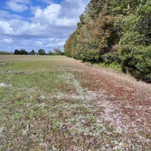 Photo #12 of SOLD property in NC 55 Hwy, Merritt, NC 16.3 acres