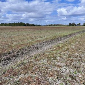 Photo #13 of SOLD property in NC 55 Hwy, Merritt, NC 16.3 acres