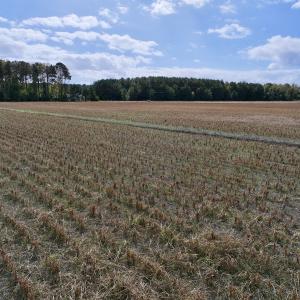 Photo #14 of SOLD property in NC 55 Hwy, Merritt, NC 16.3 acres