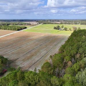 Photo #4 of SOLD property in NC 55 Hwy, Merritt, NC 16.3 acres