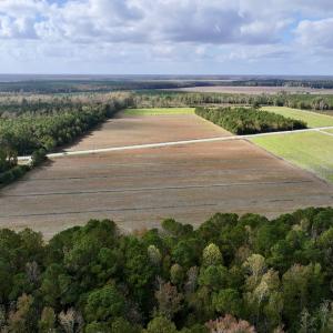 Photo #5 of SOLD property in NC 55 Hwy, Merritt, NC 16.3 acres