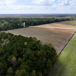 Photo #6 of SOLD property in NC 55 Hwy, Merritt, NC 16.3 acres