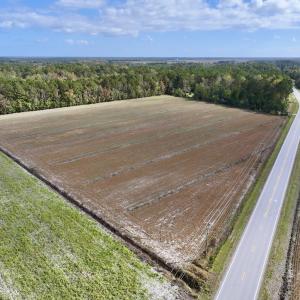Photo #8 of SOLD property in NC 55 Hwy, Merritt, NC 16.3 acres