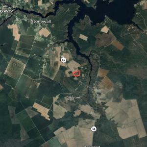 Photo #15 of SOLD property in NC 55 Hwy, Merritt, NC 16.3 acres