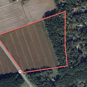 Photo #16 of SOLD property in NC 55 Hwy, Merritt, NC 16.3 acres