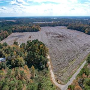 Photo #2 of SOLD property in Off Martin Luther King Hwy, Waverly, VA 77.0 acres