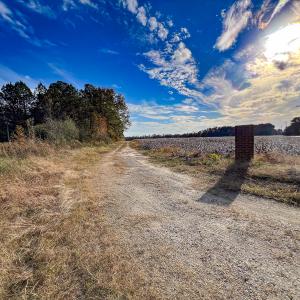 Photo #3 of SOLD property in Off Martin Luther King Hwy, Waverly, VA 77.0 acres