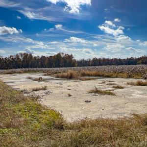 Photo #7 of SOLD property in Off Martin Luther King Hwy, Waverly, VA 77.0 acres