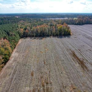 Photo #8 of SOLD property in Off Martin Luther King Hwy, Waverly, VA 77.0 acres