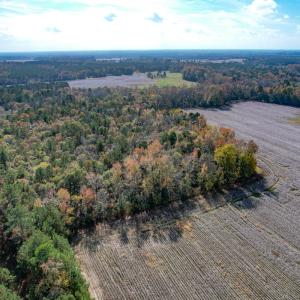 Photo #11 of SOLD property in Off Martin Luther King Hwy, Waverly, VA 77.0 acres