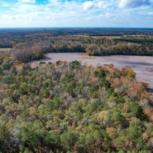 Photo #12 of SOLD property in Off Martin Luther King Hwy, Waverly, VA 77.0 acres
