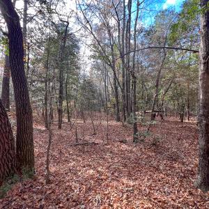 Photo #13 of SOLD property in Off Martin Luther King Hwy, Waverly, VA 77.0 acres