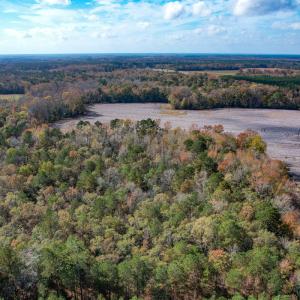 Photo #15 of SOLD property in Off Martin Luther King Hwy, Waverly, VA 77.0 acres