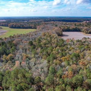 Photo #17 of SOLD property in Off Martin Luther King Hwy, Waverly, VA 77.0 acres
