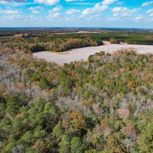 Photo #18 of SOLD property in Off Martin Luther King Hwy, Waverly, VA 77.0 acres