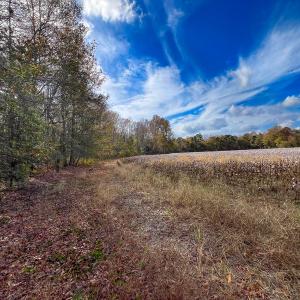 Photo #21 of SOLD property in Off Martin Luther King Hwy, Waverly, VA 77.0 acres
