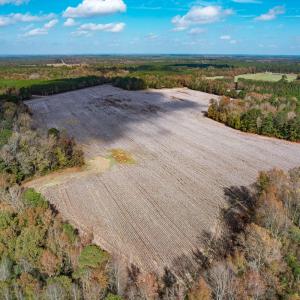 Photo #22 of SOLD property in Off Martin Luther King Hwy, Waverly, VA 77.0 acres