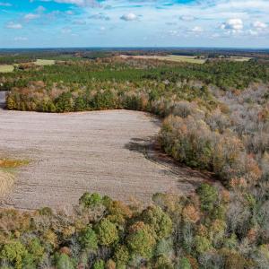 Photo #25 of SOLD property in Off Martin Luther King Hwy, Waverly, VA 77.0 acres