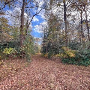 Photo #27 of SOLD property in Off Martin Luther King Hwy, Waverly, VA 77.0 acres
