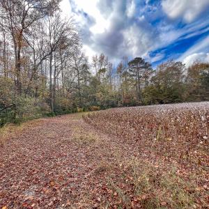 Photo #28 of SOLD property in Off Martin Luther King Hwy, Waverly, VA 77.0 acres