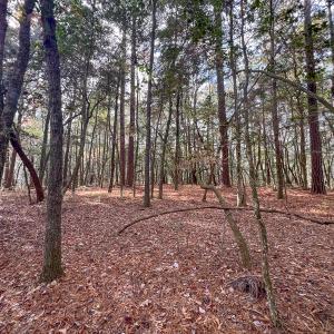 Photo #31 of SOLD property in Off Martin Luther King Hwy, Waverly, VA 77.0 acres