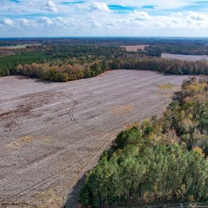 Photo #36 of SOLD property in Off Martin Luther King Hwy, Waverly, VA 77.0 acres