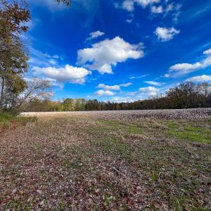 Photo #37 of SOLD property in Off Martin Luther King Hwy, Waverly, VA 77.0 acres