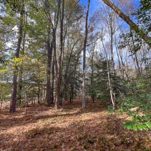 Photo #39 of SOLD property in Off Martin Luther King Hwy, Waverly, VA 77.0 acres