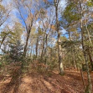 Photo #40 of SOLD property in Off Martin Luther King Hwy, Waverly, VA 77.0 acres