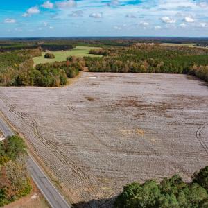 Photo #41 of SOLD property in Off Martin Luther King Hwy, Waverly, VA 77.0 acres