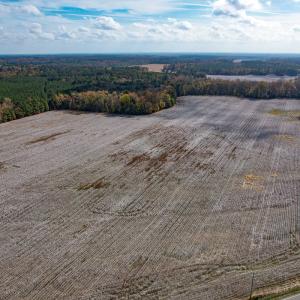 Photo #42 of SOLD property in Off Martin Luther King Hwy, Waverly, VA 77.0 acres
