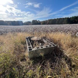 Photo #47 of SOLD property in Off Martin Luther King Hwy, Waverly, VA 77.0 acres