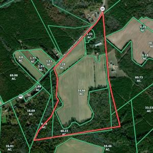 Photo #48 of SOLD property in Off Martin Luther King Hwy, Waverly, VA 77.0 acres
