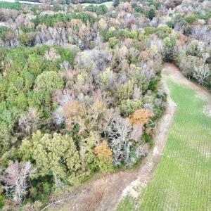 Photo #8 of SOLD property in Off Highway 903, Oak City, NC 20.7 acres