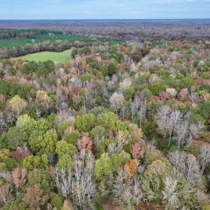 Photo #9 of SOLD property in Off Highway 903, Oak City, NC 20.7 acres