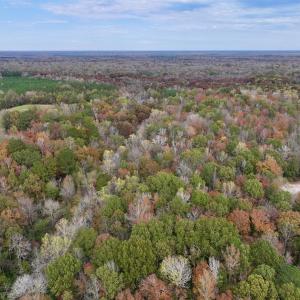 Photo #10 of SOLD property in Off Highway 903, Oak City, NC 20.7 acres